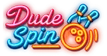 dudespins-cz.com